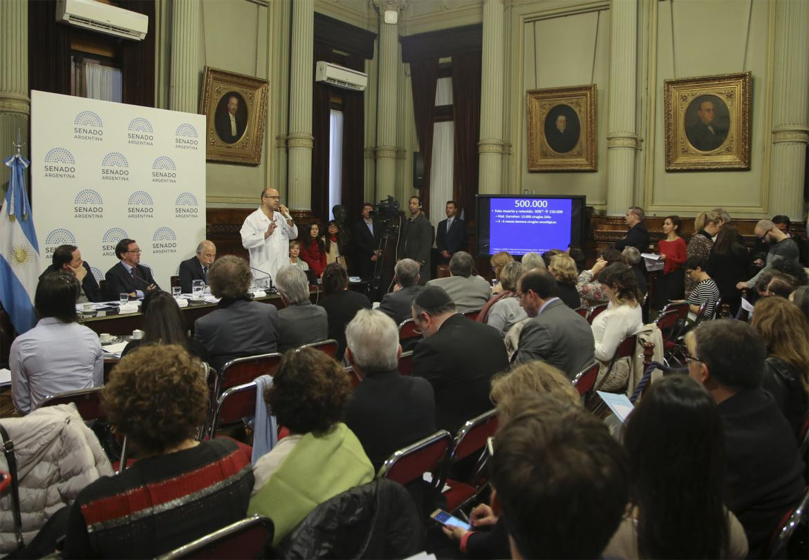 Debate por el aborto legal en el Senado (NA)