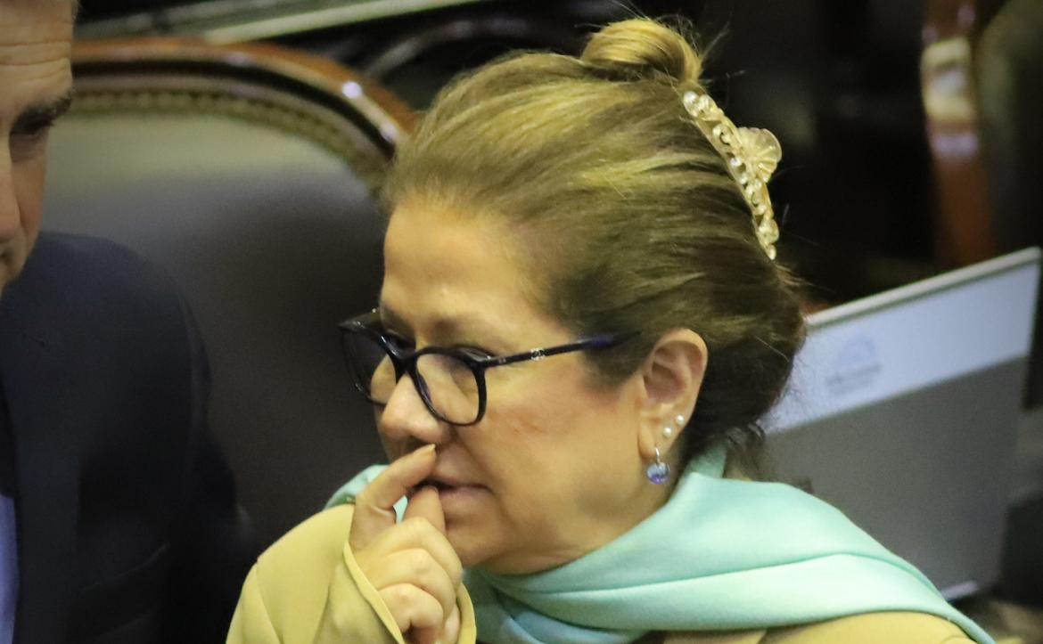 Graciela Camaño en el Congreso, Frente Renovador, política, NA