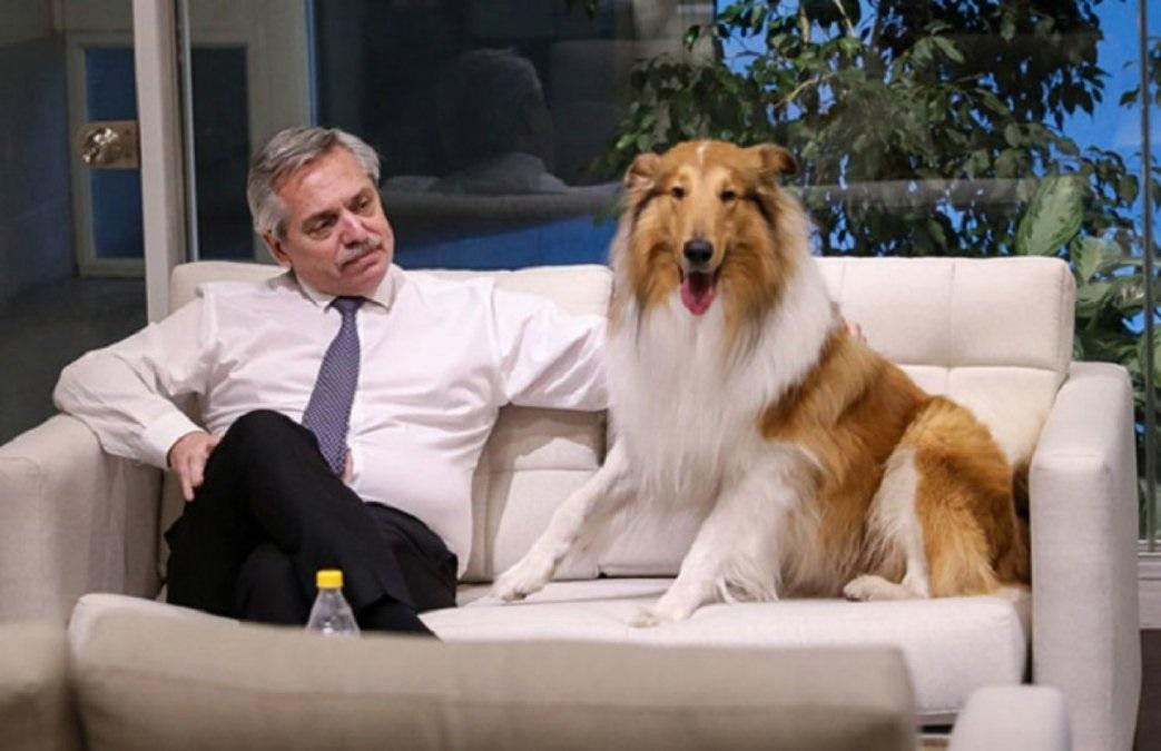 Alberto Fernández y su perro Dylan