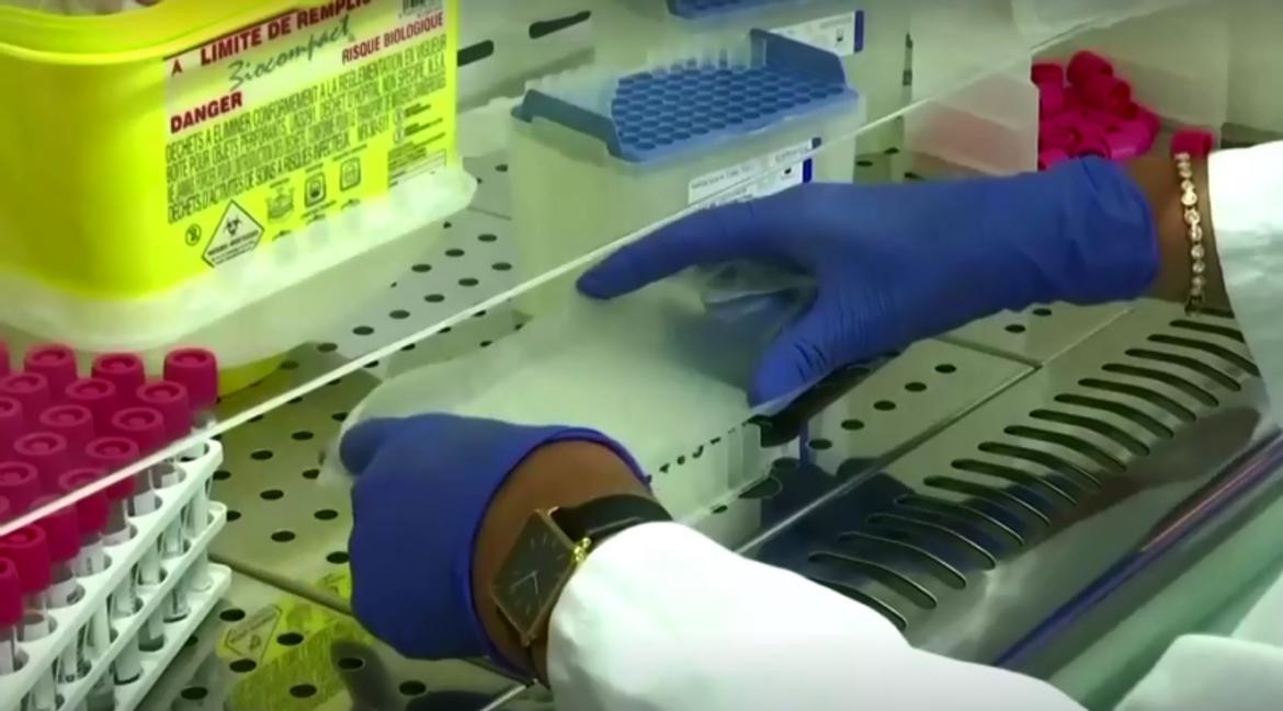Coronavirus en Francia, ciencia, médicos, laboratorio, REUTERS Coronavirus en Francia, ciencia, médicos, laboratorio, REUTERS