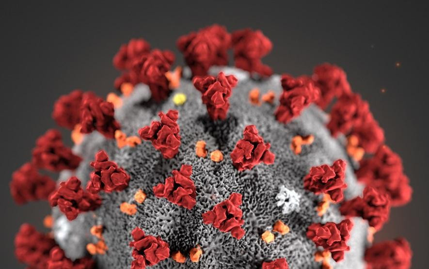 Coronavirus
