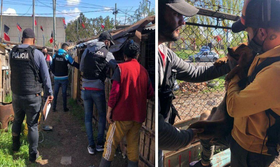 Refugio en Quilmes con perros maltratados y muertos