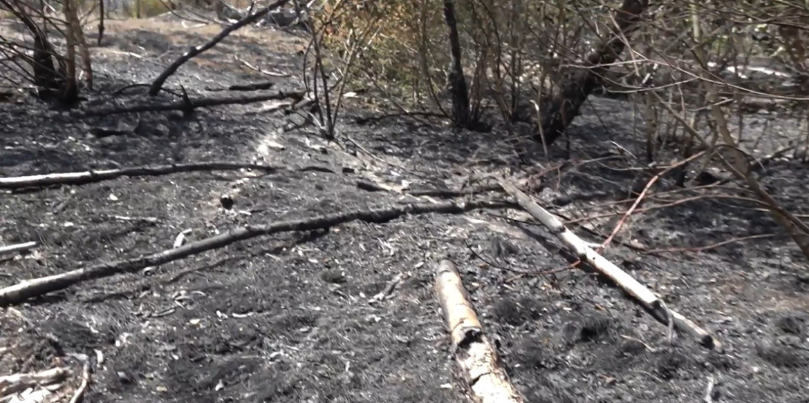 Destruyó parcialmente 326 hectáreas. Foto: captura video.