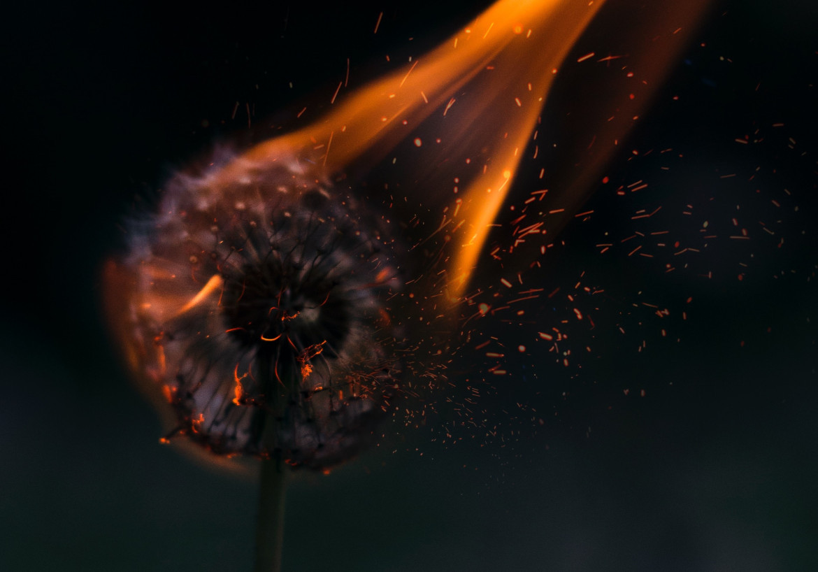 La era de la ebullición global. Foto: Unsplash