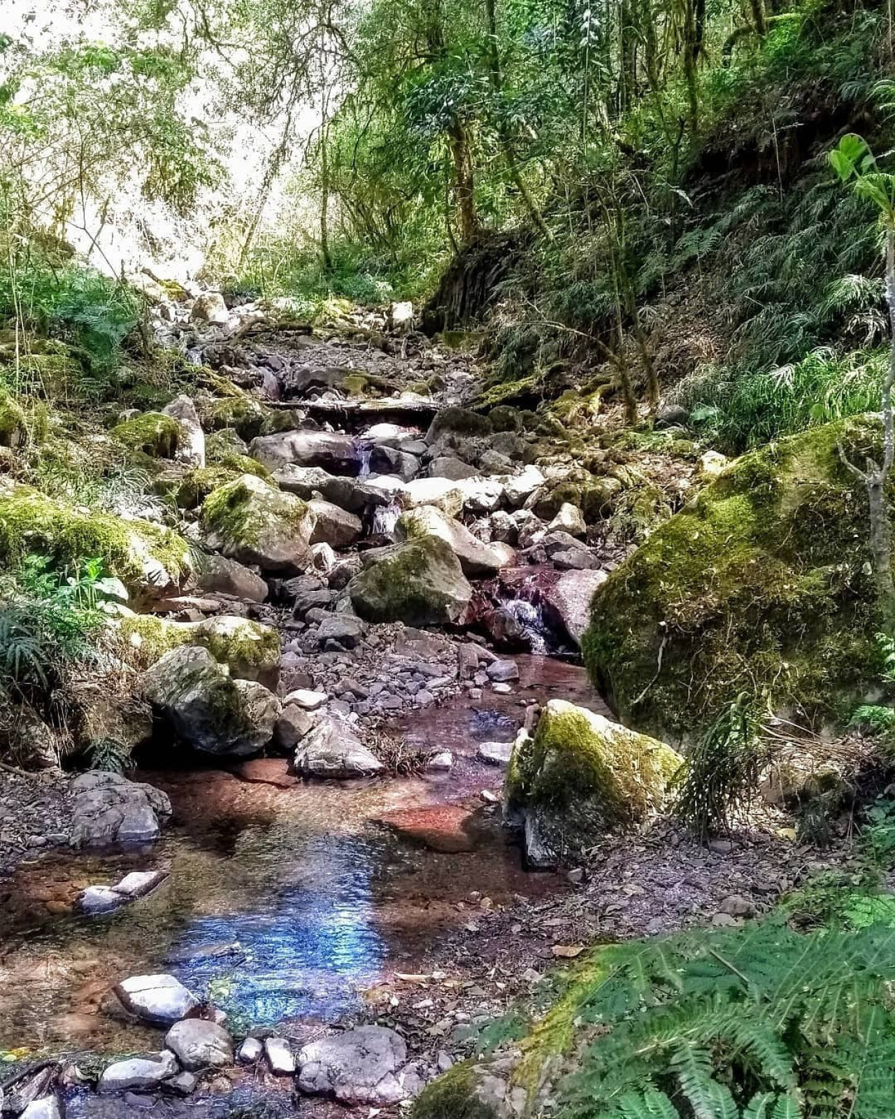 Quebrada de San Lorenzo. Foto Instagram.