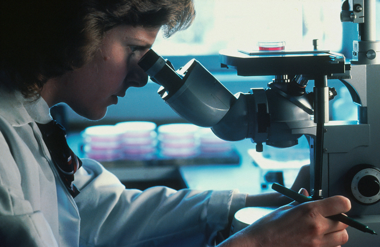 Cáncer; investigación. Foto: Unsplash