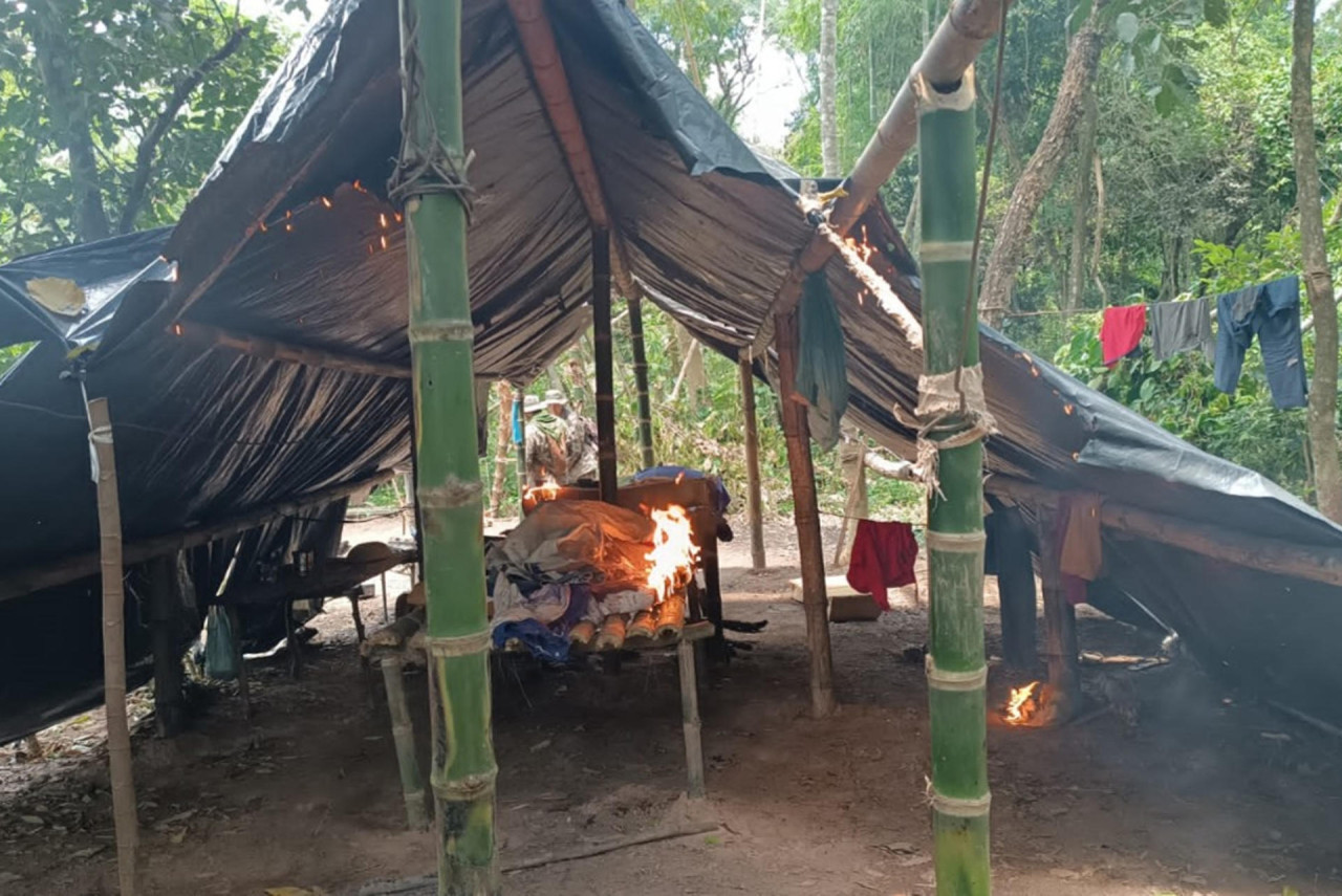 Cultivos de marihuana en Paraguay. Foto: EFE
