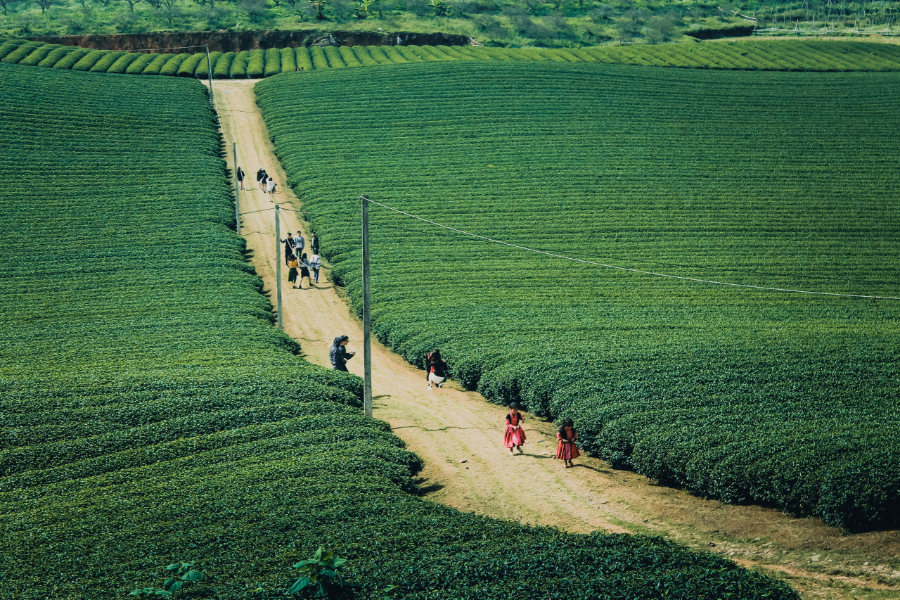 Vacaciones. Foto: Unsplash.