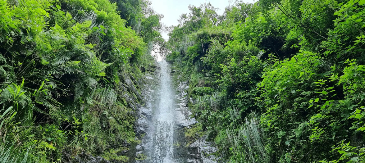 Cascada Los Payos, en Jujuy. Foto: Facebook / Leer del Viaje.