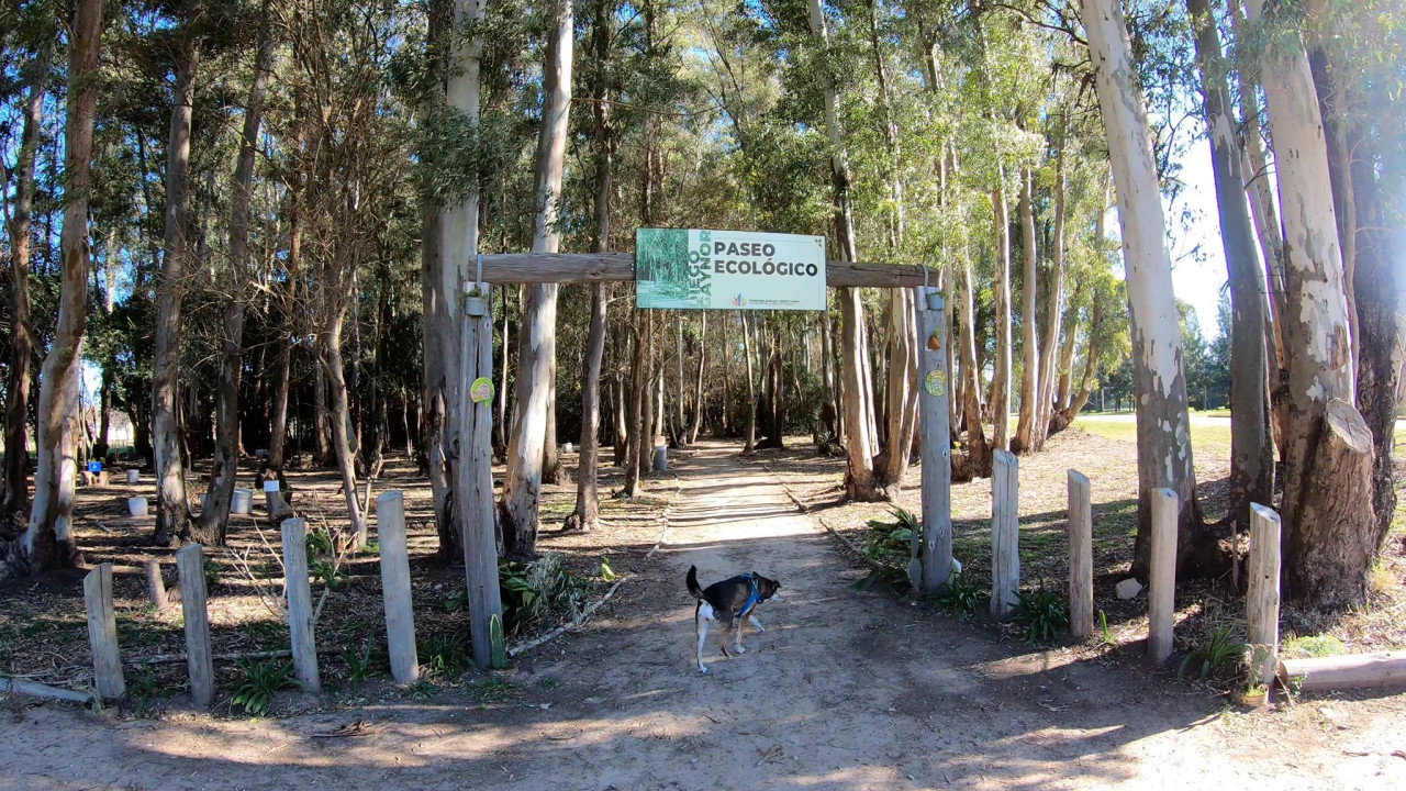 Pueblo Diego Gaynor. Foto: X/gui10road