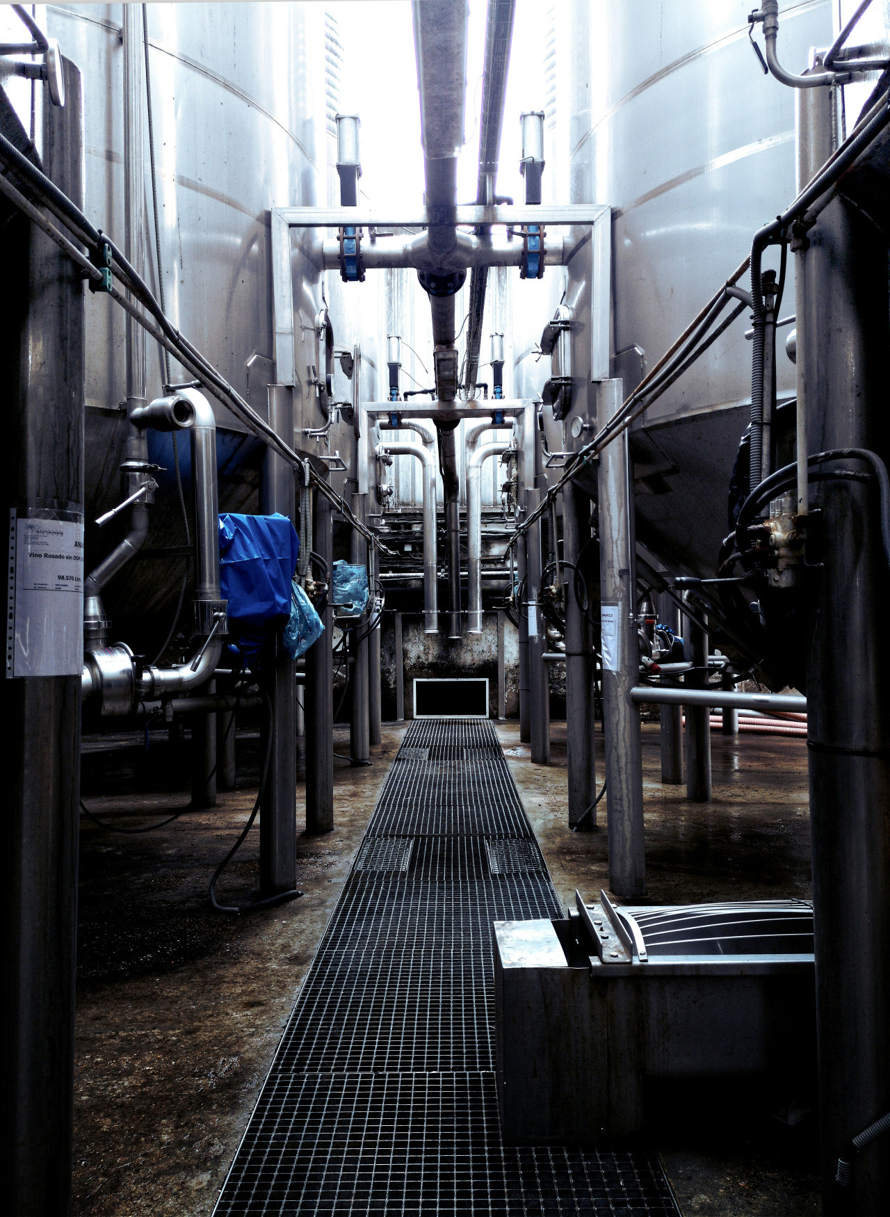 Producción de leche; fábrica; empresa. Foto: Unsplash.